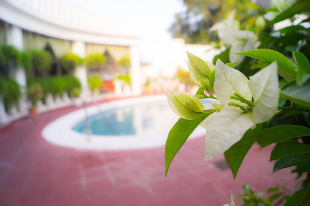 Hotel Grecia Real Сан-Сальвадор Екстер'єр фото
